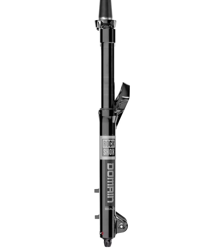 2025 RockShox Domain Gold RC