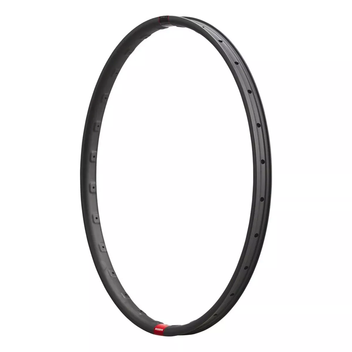 30|SL 29" Carbon 28H Rim