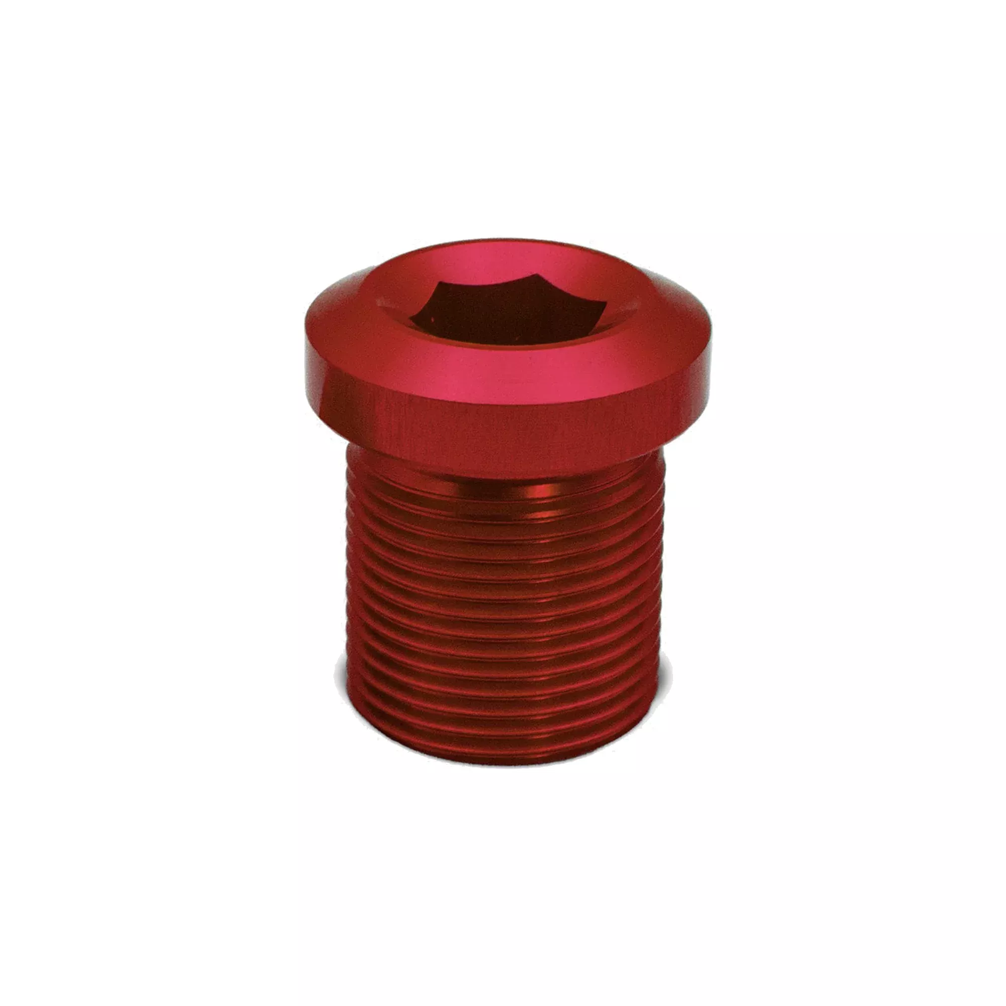 Bosch/ISIS eBike Crank Retaining Bolt