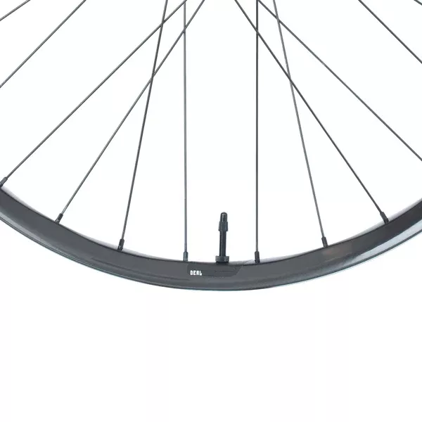 Deal Carbon Rim
