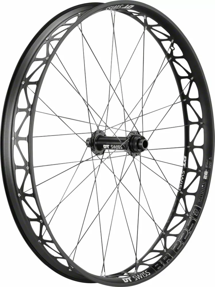 DT SwissBig Ride Front Wheel