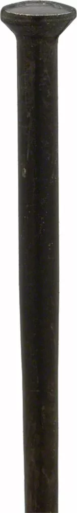 DT SwissCompetition Straight Pull Black Spokes