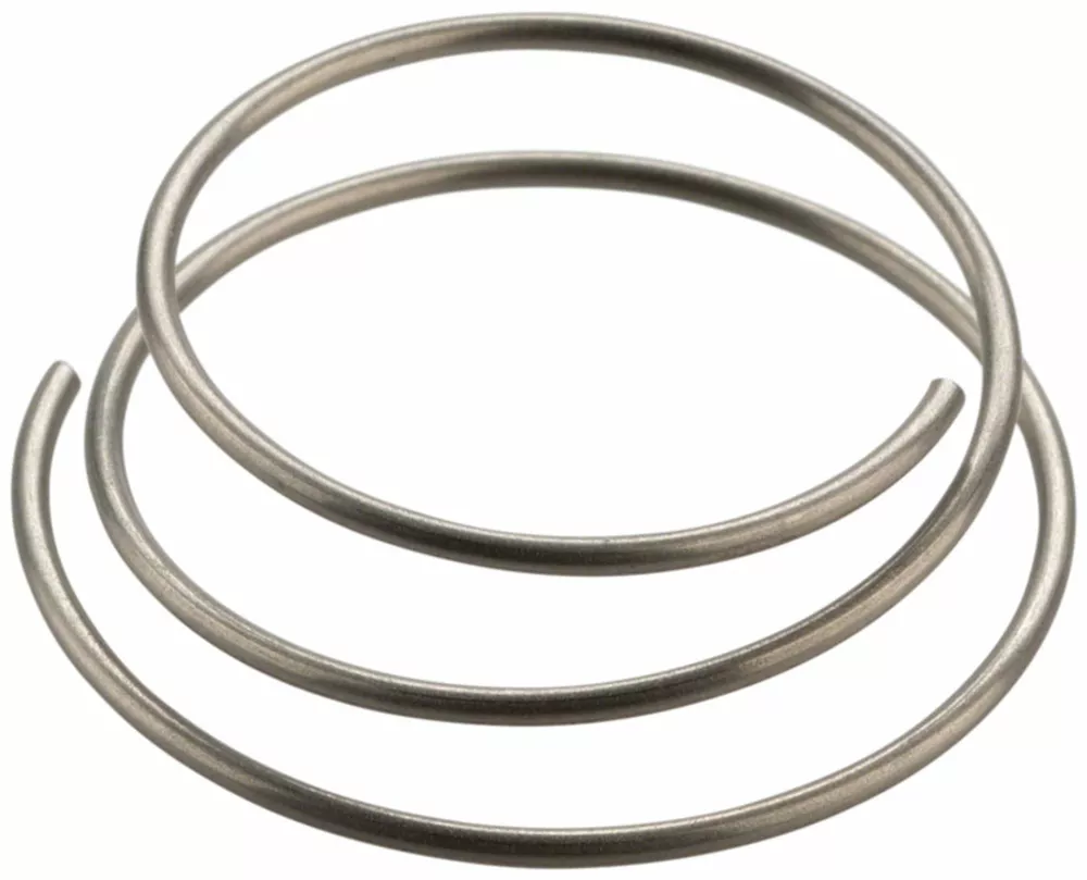 DT SwissDT Swiss Star Ratchet Spring