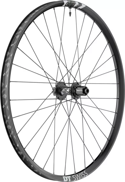 DT SwissF 1900 Classic 29-inch Rear