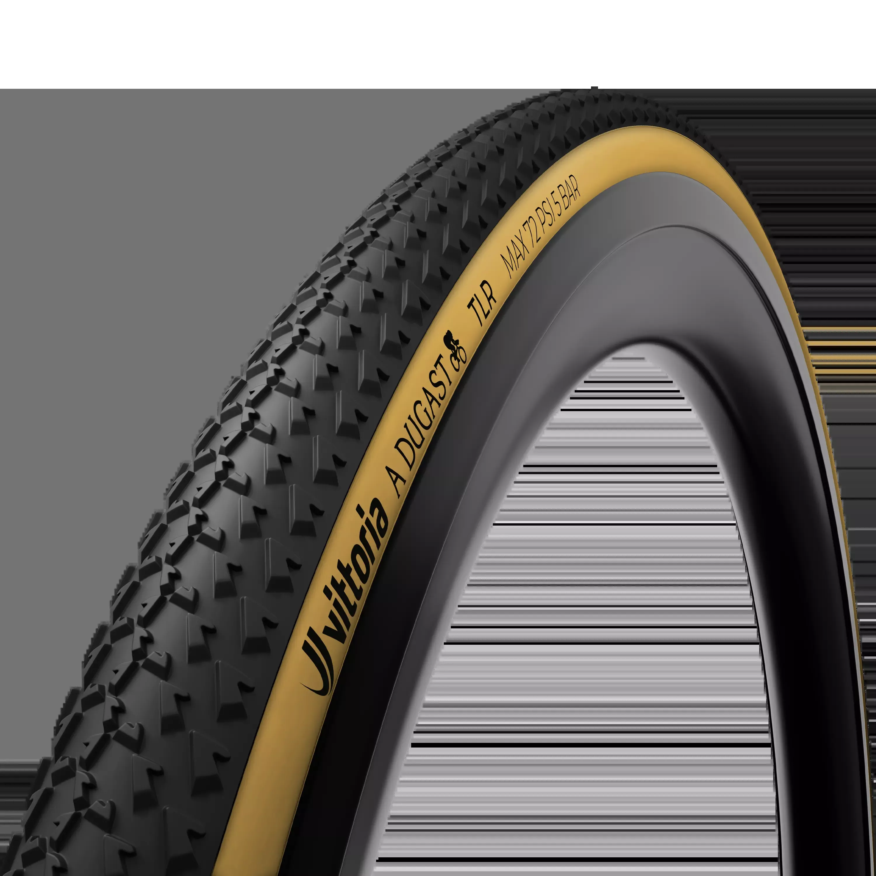 A Dugast Small Bird Tubeless-Ready