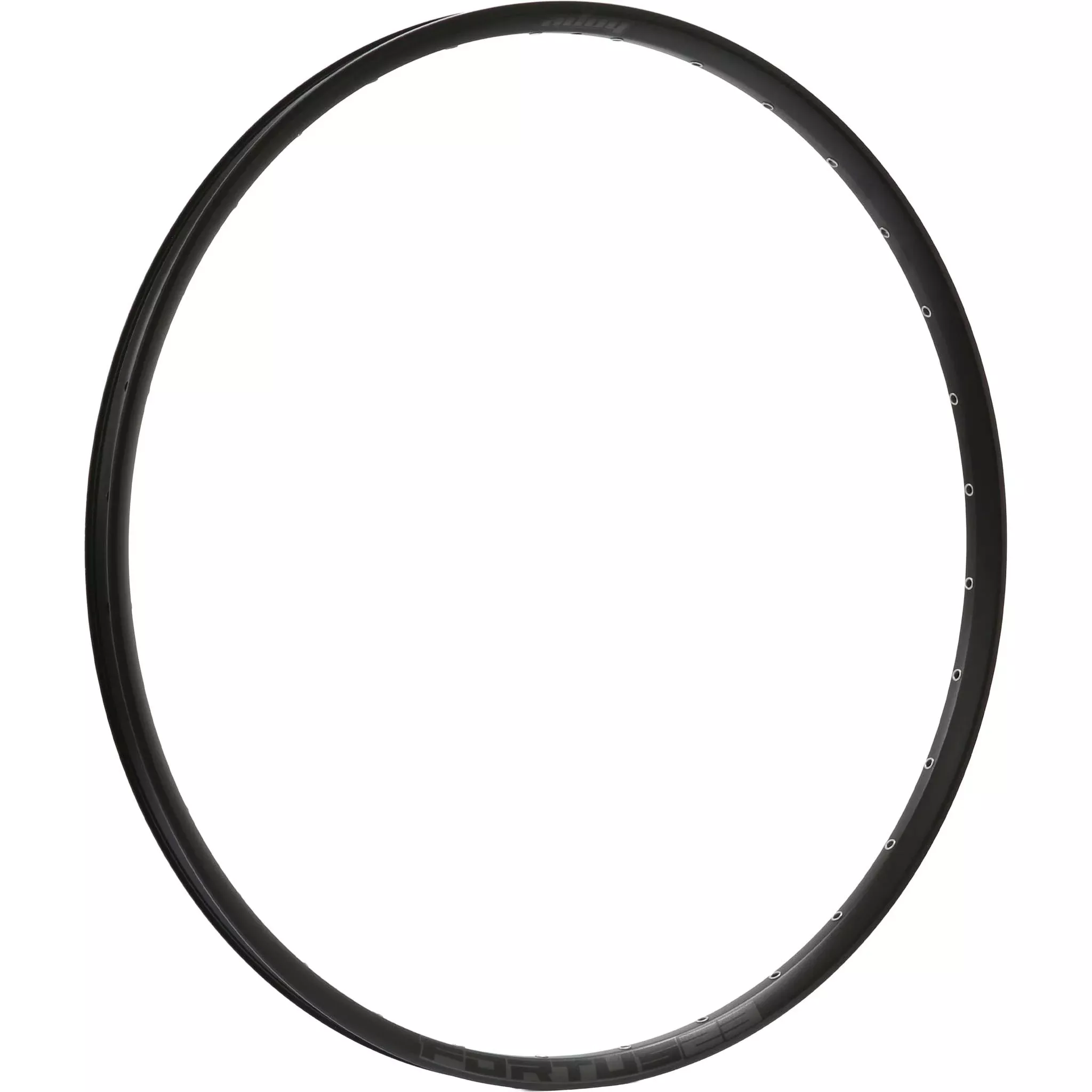 Fortus 23w Rim