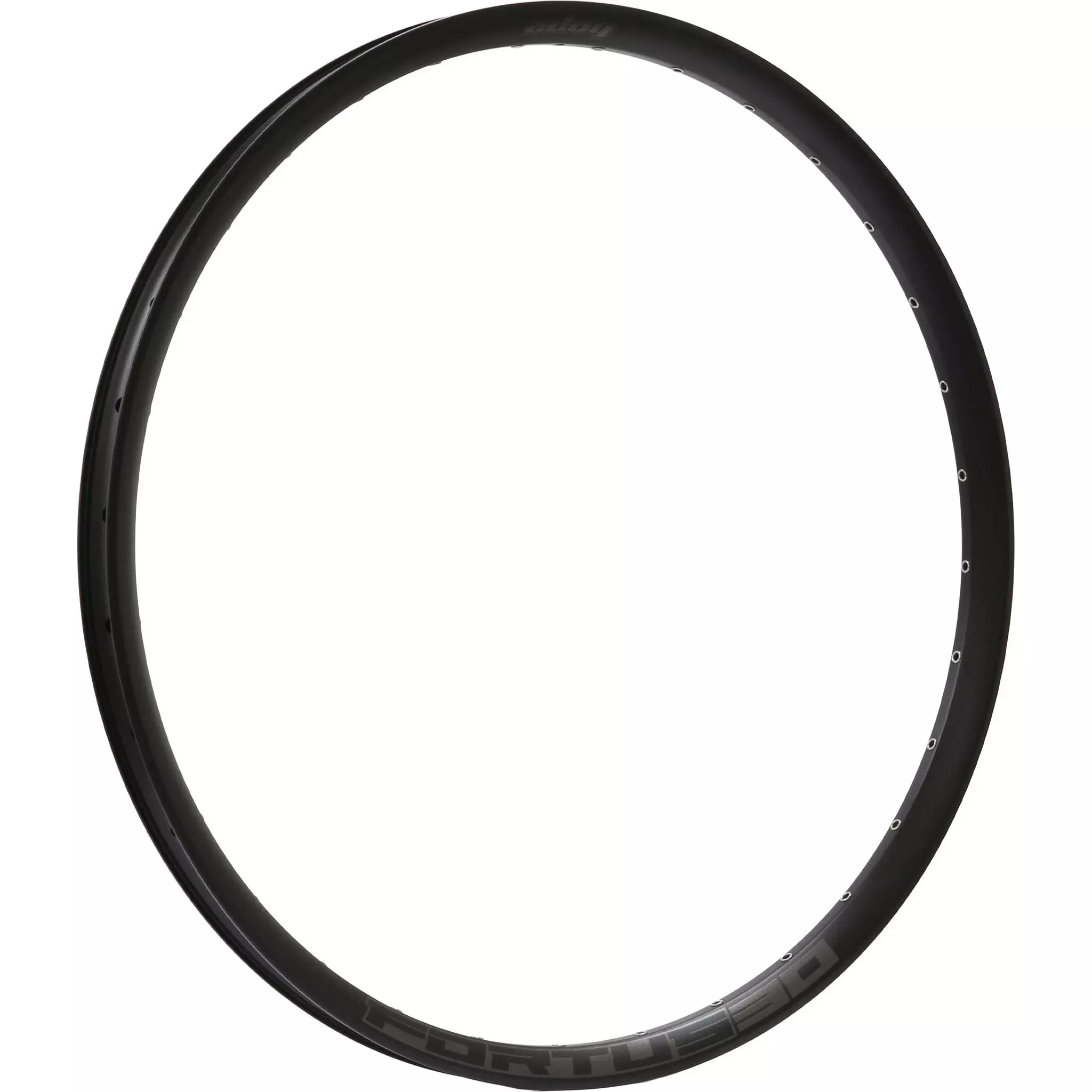 Fortus 30w Rim