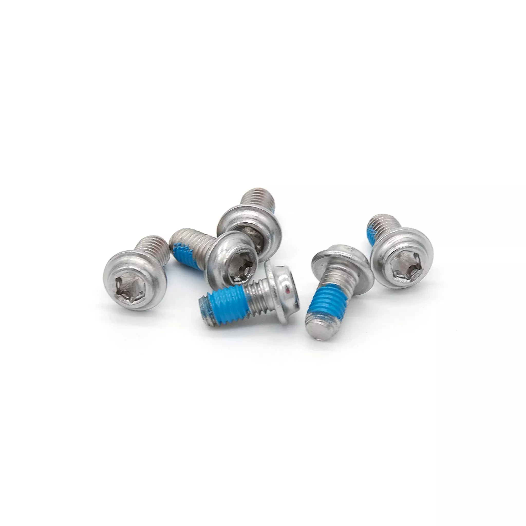 Light Stainless Disc Bolt M5x10 (6 Pack)