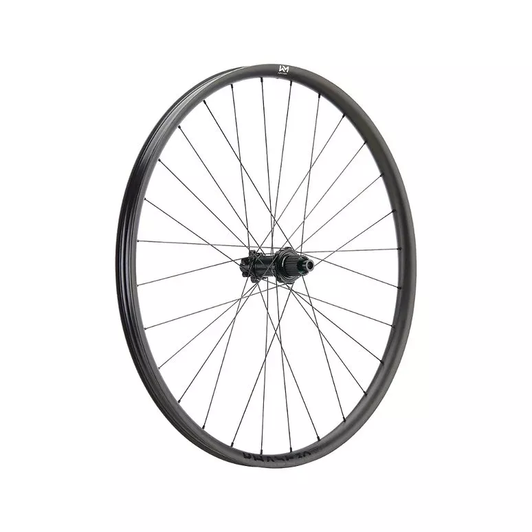 Newmen Phase 30 - Light Rear