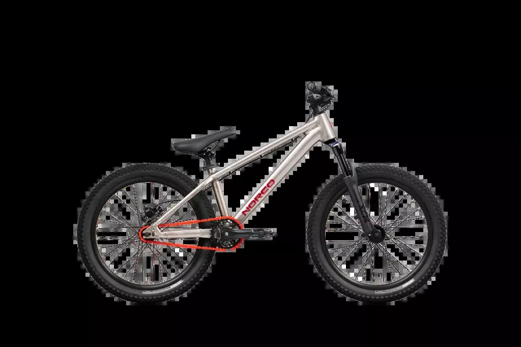 Norco Rampage Youth 20