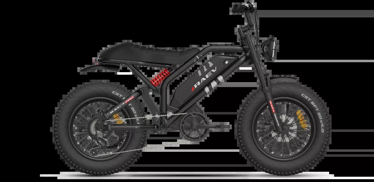 RAEV Bullet Pro E-Bike