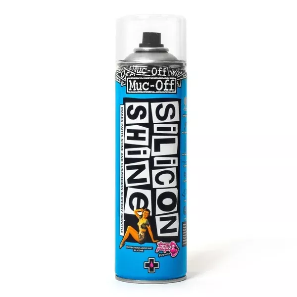 Silicon Shine