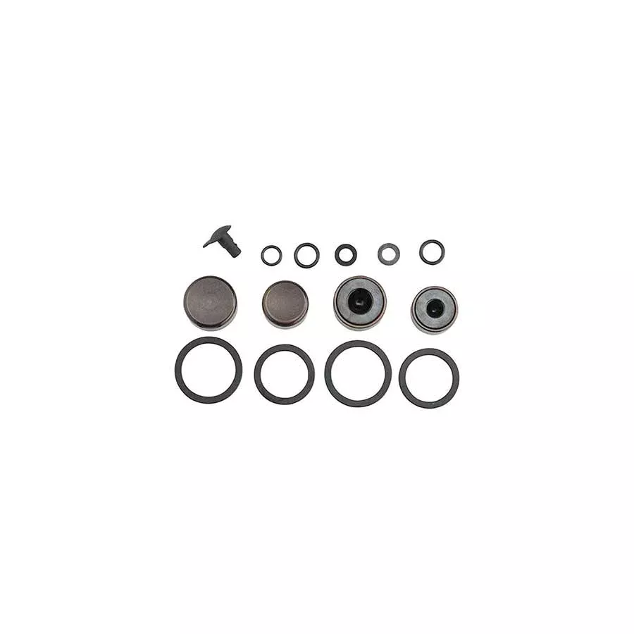 SRAM Guide Ultimate Caliper Piston Kit: Two Each 16mm and 14mm