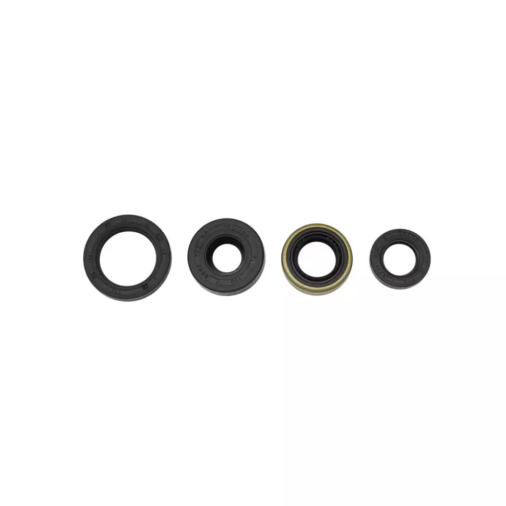 TB Oil Seal Kit