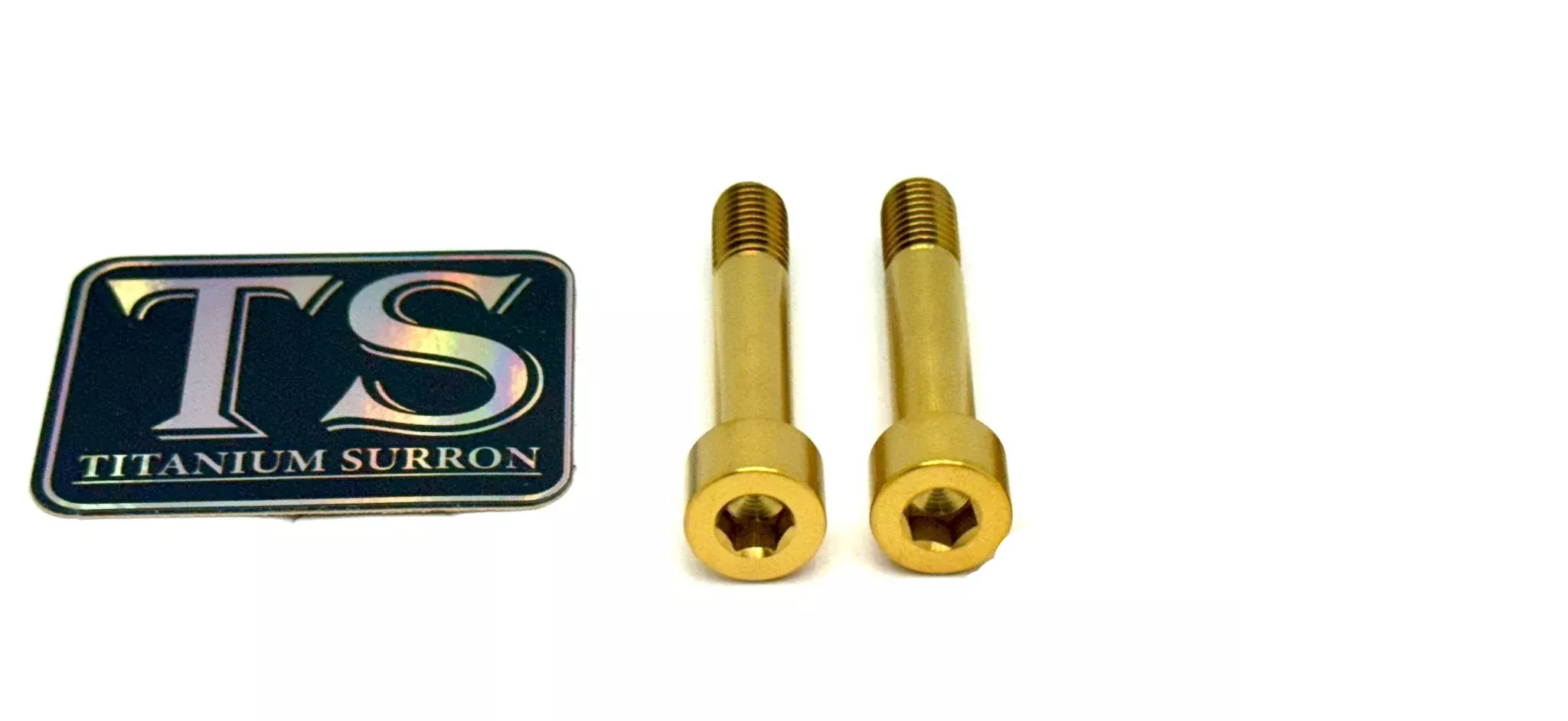 Titanium Motor Bolts - Rerode R1 (4 pcs)