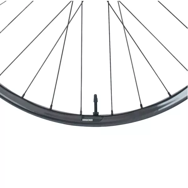 Wanderer Carbon Rim