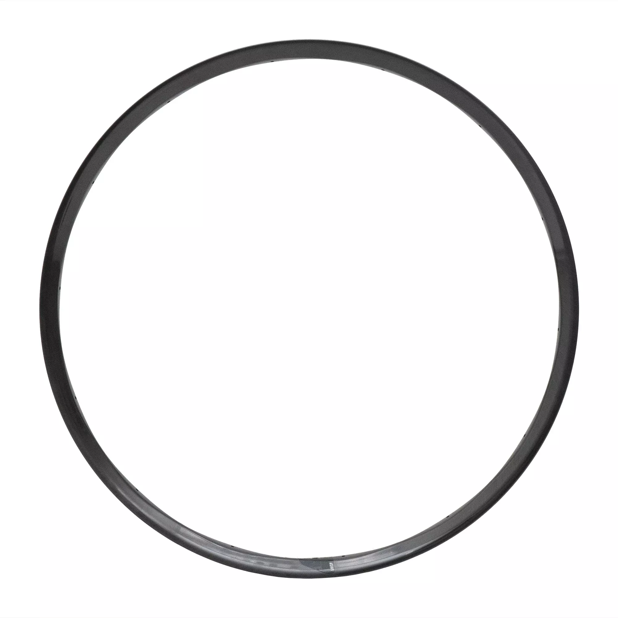 Whisp 29" Carbon 28H Rim