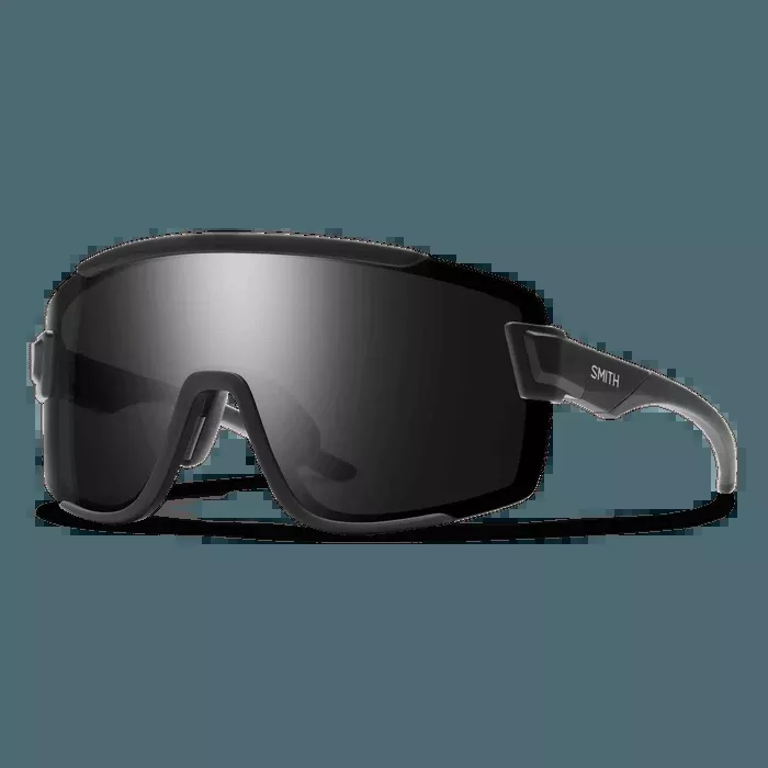 Wildcat Sunglasses