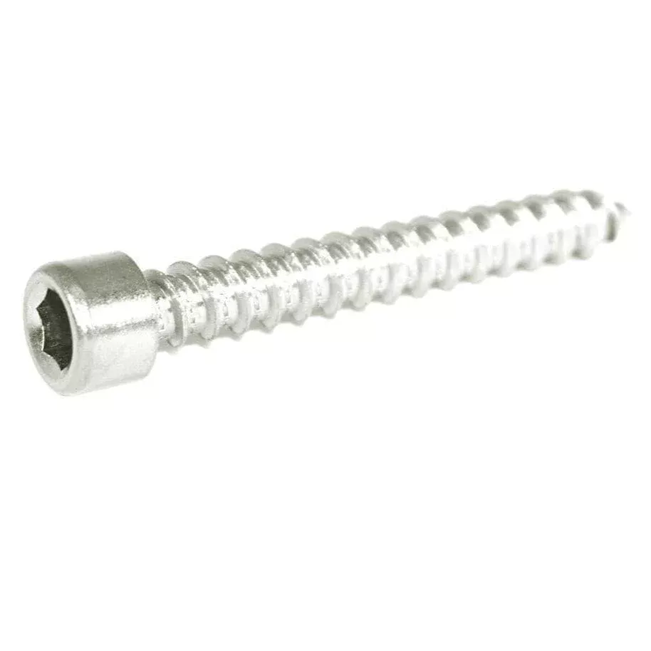 ZSPEC M6x40mm Coarse Socket-Cap SHSC Fasteners, Stainless, 10-Pack